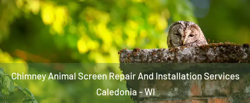  Chimney Animal Screen Repair And Installation Services Caledonia - WI