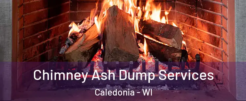  Chimney Ash Dump Services Caledonia - WI
