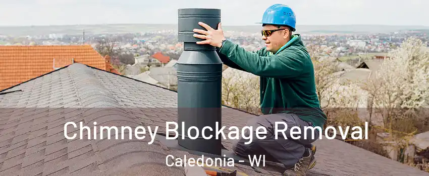  Chimney Blockage Removal Caledonia - WI