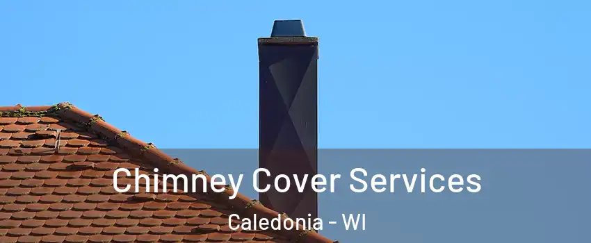  Chimney Cover Services Caledonia - WI