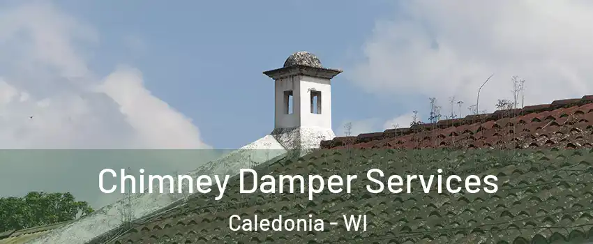  Chimney Damper Services Caledonia - WI