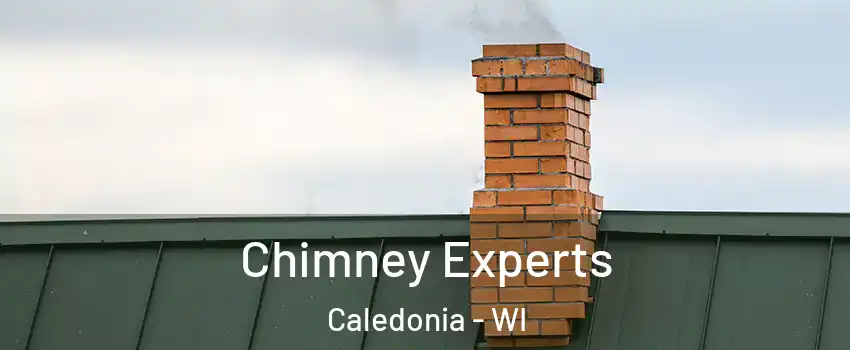  Chimney Experts Caledonia - WI