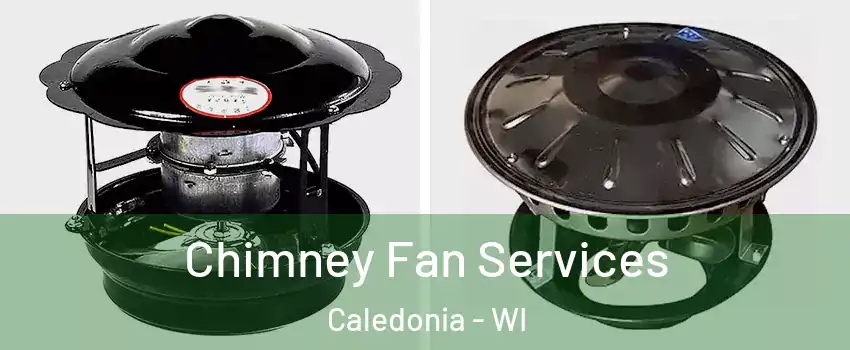  Chimney Fan Services Caledonia - WI