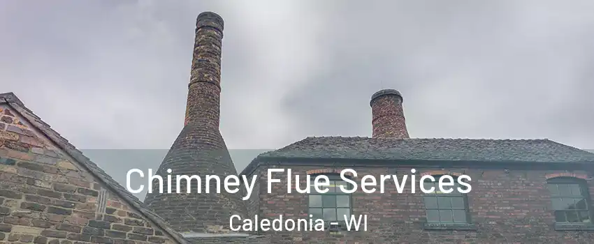  Chimney Flue Services Caledonia - WI