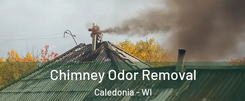  Chimney Odor Removal Caledonia - WI
