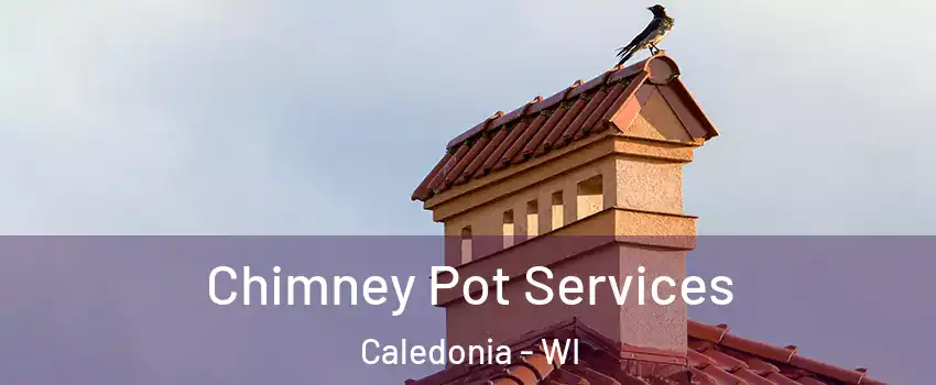  Chimney Pot Services Caledonia - WI