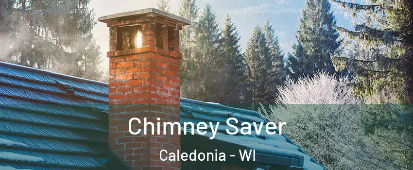  Chimney Saver Caledonia - WI