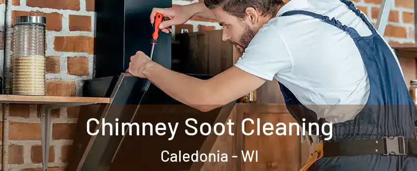  Chimney Soot Cleaning Caledonia - WI