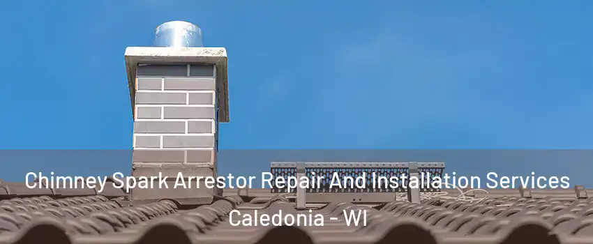  Chimney Spark Arrestor Repair And Installation Services Caledonia - WI