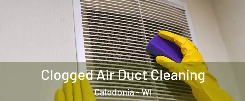  Clogged Air Duct Cleaning Caledonia - WI