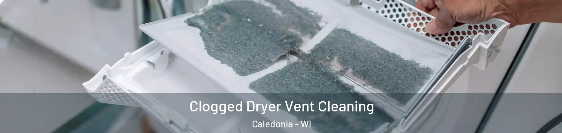  Clogged Dryer Vent Cleaning Caledonia - WI