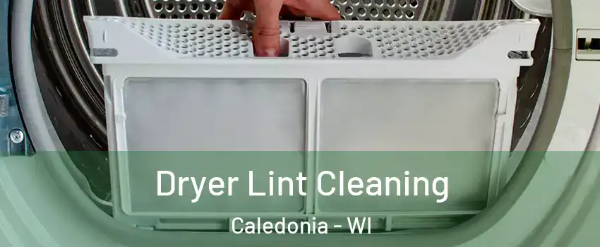  Dryer Lint Cleaning Caledonia - WI