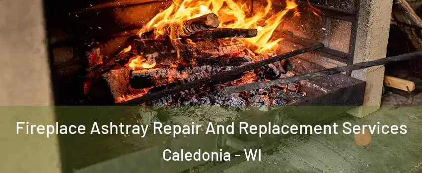  Fireplace Ashtray Repair And Replacement Services Caledonia - WI