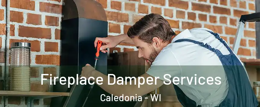  Fireplace Damper Services Caledonia - WI