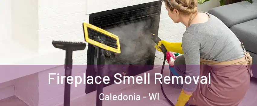  Fireplace Smell Removal Caledonia - WI