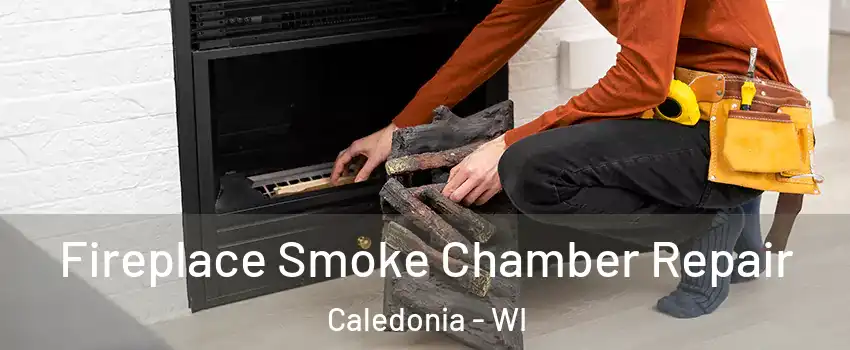  Fireplace Smoke Chamber Repair Caledonia - WI
