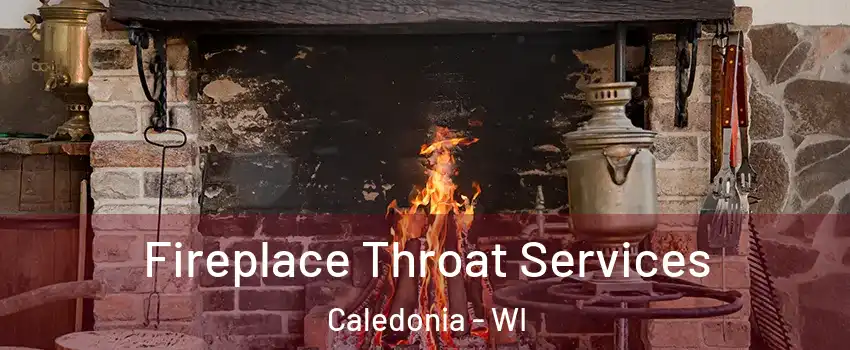  Fireplace Throat Services Caledonia - WI