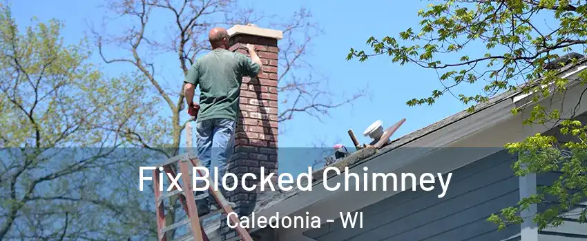  Fix Blocked Chimney Caledonia - WI