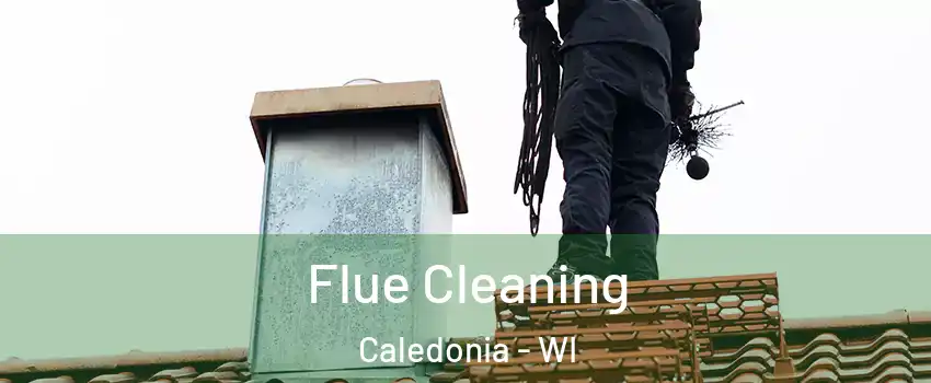  Flue Cleaning Caledonia - WI