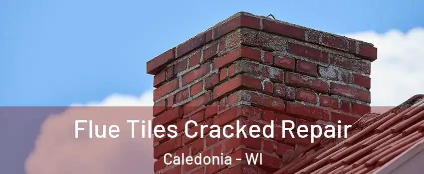  Flue Tiles Cracked Repair Caledonia - WI