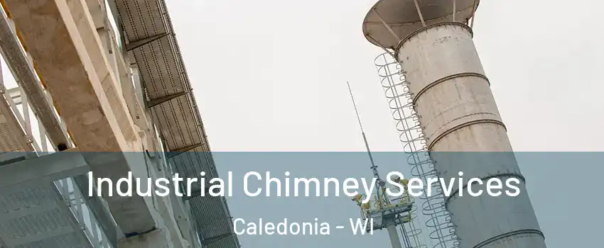  Industrial Chimney Services Caledonia - WI