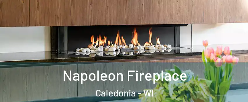  Napoleon Fireplace Caledonia - WI