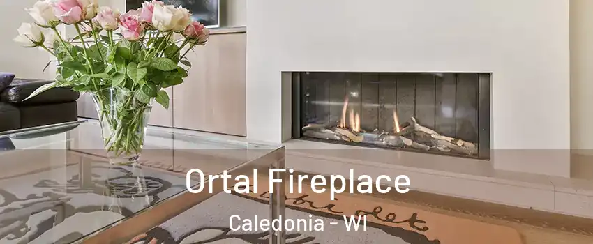  Ortal Fireplace Caledonia - WI