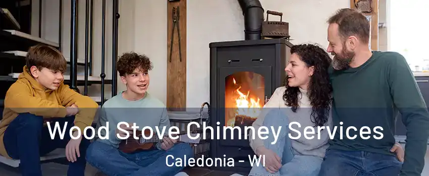  Wood Stove Chimney Services Caledonia - WI