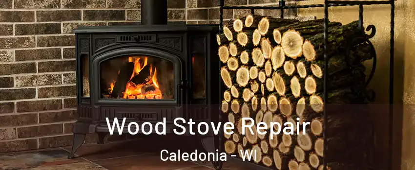  Wood Stove Repair Caledonia - WI